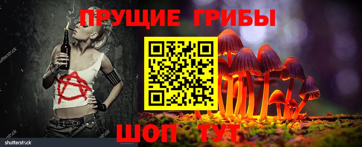 Галлюциногенные грибы Psilocybine cubensis Великий Устюг