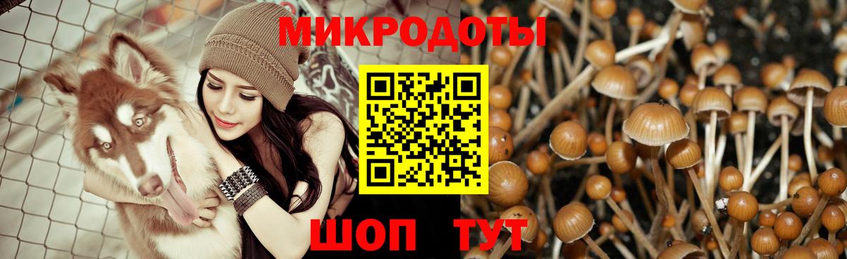 Псилоцибиновые грибы GOLDEN TEACHER  Галлюциногенные грибы ЛСД  Великий Устюг  Вход с VPN 